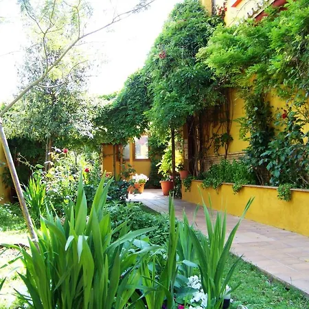 Donana Blues Hotel Matalascañas